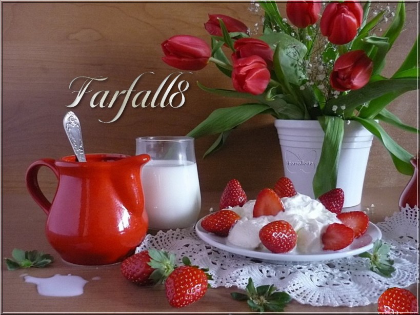 Il Farfallotto